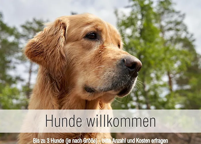 Huette41: Ganze Huette Nah Am Mit Privatem Whirlpool, Sauna. Umzaeunt. Prázdninový dům Waldkirchen