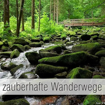 Huette41: Ganze Huette Nah Am Mit Privatem Whirlpool, Sauna. Umzaeunt. Dom wakacyjny