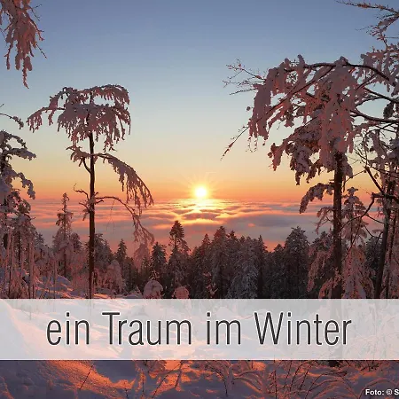 Hütte41: Ganze Hütte Nah Am Mit Privatem Whirlpool, Sauna. Umzäunt. Waldkirchen