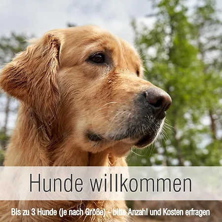 Huette41: Ganze Huette Nah Am Mit Privatem Whirlpool, Sauna. Umzaeunt. Holiday home Waldkirchen