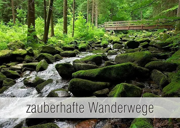 Hütte41: Ganze Hütte Nah Am Mit Privatem Whirlpool, Sauna. Umzäunt. Ferienhaus