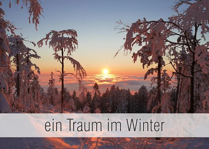Hütte41: Ganze Hütte Nah Am Mit Privatem Whirlpool, Sauna. Umzäunt. Waldkirchen